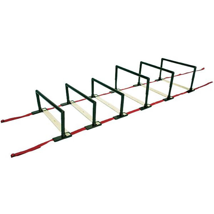 Adjustable Step Hurdles