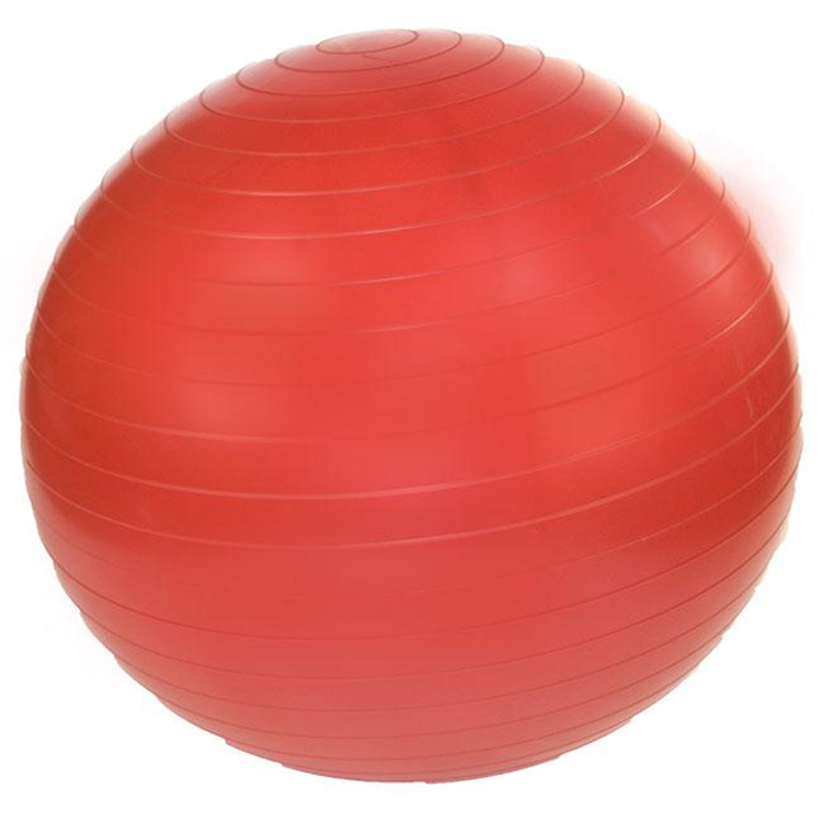 J Fit Professional Exercise Ball