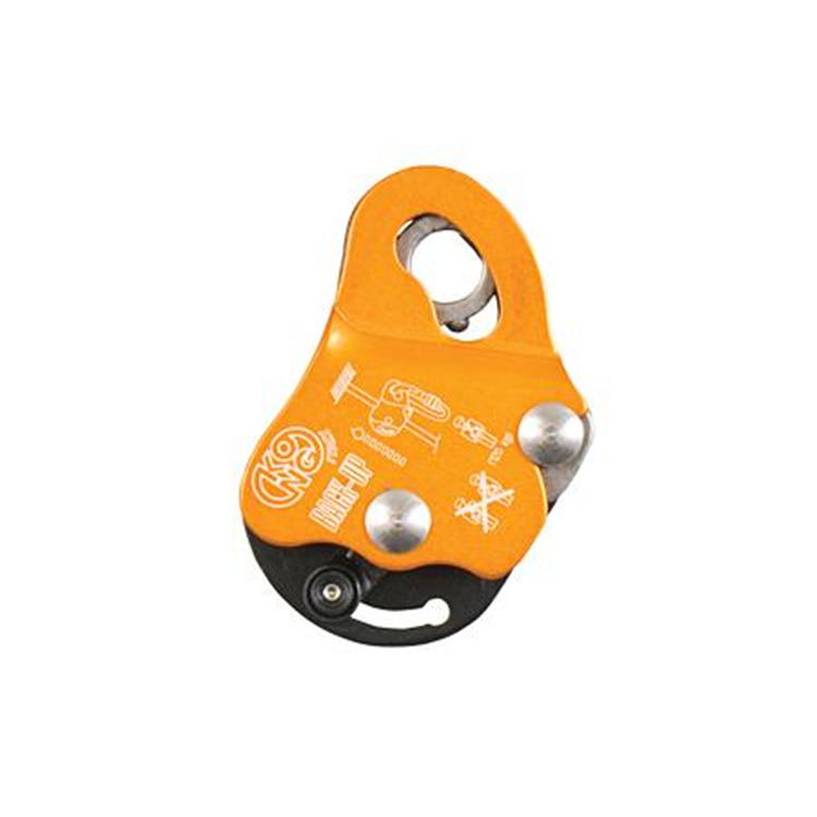 Kong Back-Up Locking Device