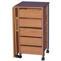 Mobile Desk/Workstation
