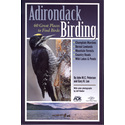 Adirondack Birding