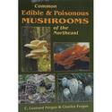 Guide To Wilderness Survival