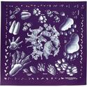Nature Facts Bandana