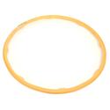 Digital Fitness Hoola Hoop