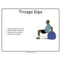 Ball Exercise Task Cards On Cd