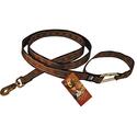 Big Wolf Leash