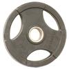 5lb Rubber Coated Grip Plate