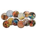 Nutri-Spot Hotspots