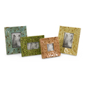 Set of 4 Vivid Frames