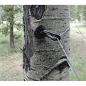 Backcountry Dry Line