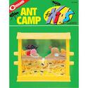 Ant Camp For Kids