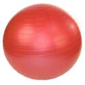 Stability Exercise Ball