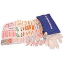Healthy Traveler Kit