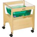 See-thru Sensory Table - Toddler