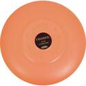 Frisbee Saucer Tosser