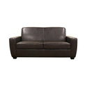 Broome Dark Brown Modern Sofa Sleeper