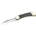 Buck 110 Folding Hunter