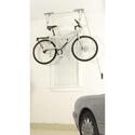 El Greco Ceiling Hoist
