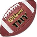 Wilson F1300 Tdy Official Football