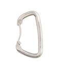 Cypher Stainless Steel Gym Carabiner