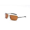 Optic Nerve Polarized
