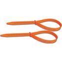 Backcountry Ski Strap