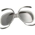 S4 Rx Goggle Insert