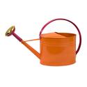 Edison Brights Oval Watering Can