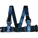 Dino Kid Harness