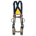 Body Work Harness