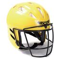 Wire Face Mask