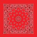 Insect Shield Bandanas