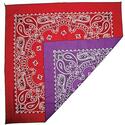2-Sided Bandana