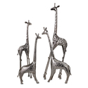 Set of 4 Safari Giraffe Herd