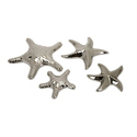 Set of 4 Cortland Silver Star Fish