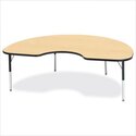 Kydz Activity Table - Kidney