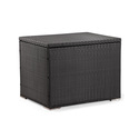 Cancun Trunk - Espresso