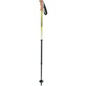 Northern Lights Pole