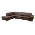 Callidora Dark Brown Leather-Leather Match Sofa Sectional