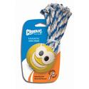 Chuckit! Fanatic