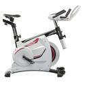 Ergo Race