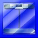 Talking Digital Glass Scale