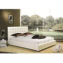 Bi-cast Leather Queen-size Bed