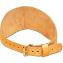 Champion Training Wt. Belt
