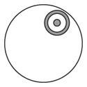 Stoma Cap