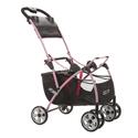 Safety 1st® Clic It! Infant Seat Carrier (Pink)
