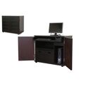 Ferron Black Wood Cabinet-Style Modern Computer Desk