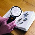 Illuminated Magnifier Reader