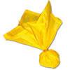 Official's Penalty Flag