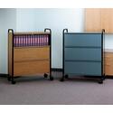 Mobile Priv. Chart Rack - For 3